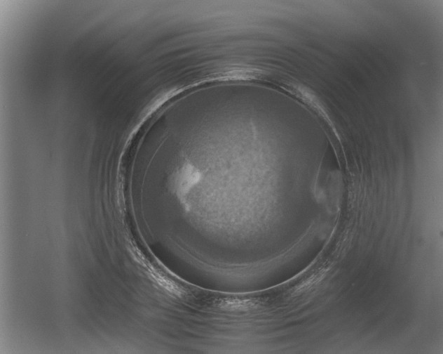 X0000060570835200511071017