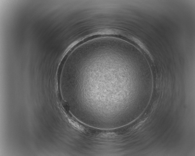 X0000060570837200511071017