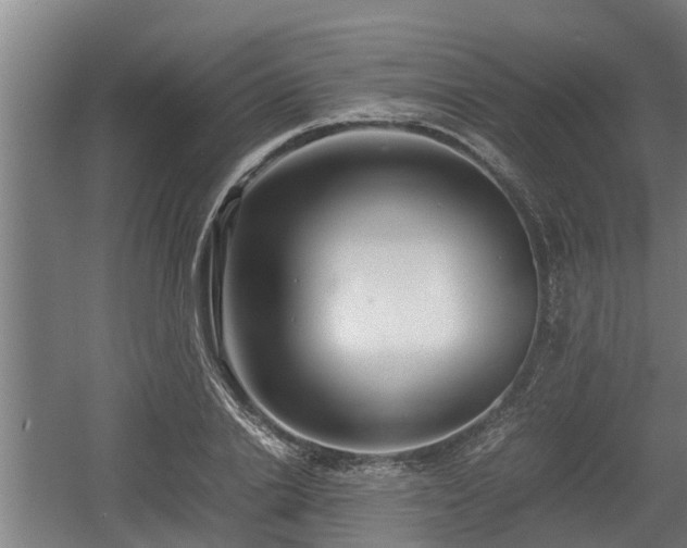 X0000060570838200511071017