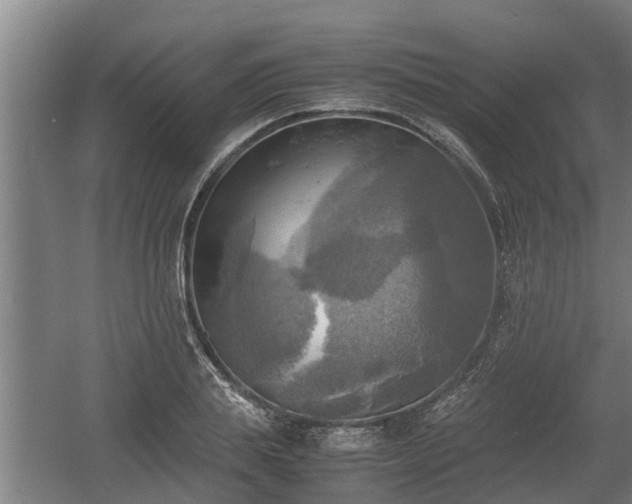 X0000060570839200511071017