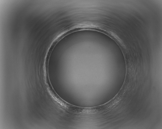 X0000060570840200511071017