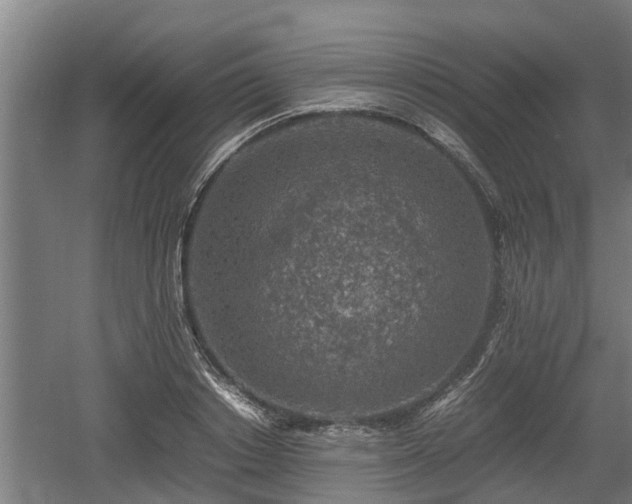 X0000060570842200511071017