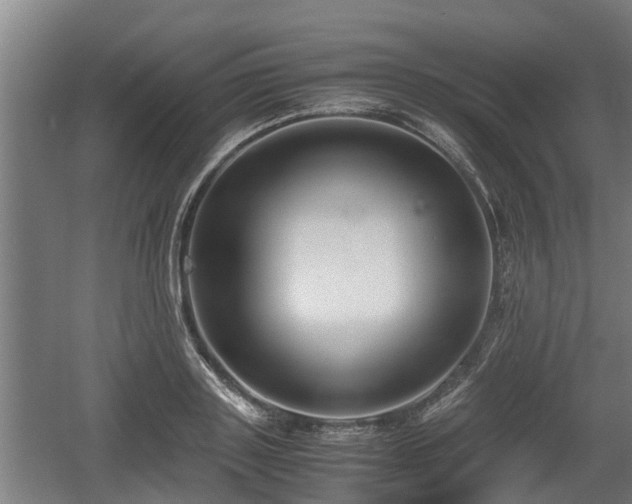 X0000060570843200511071017