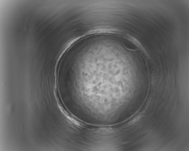 X0000060570844200511071017