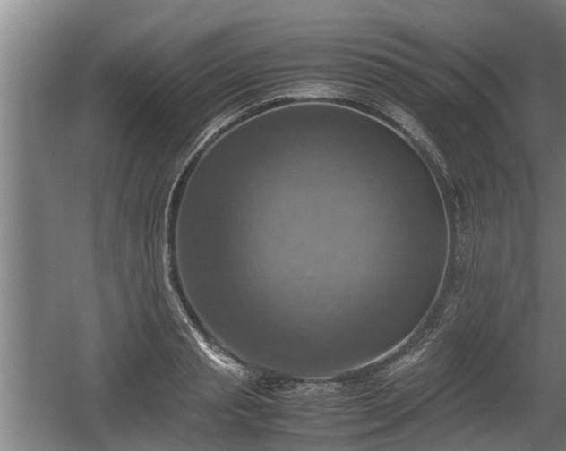 X0000060570845200511071017