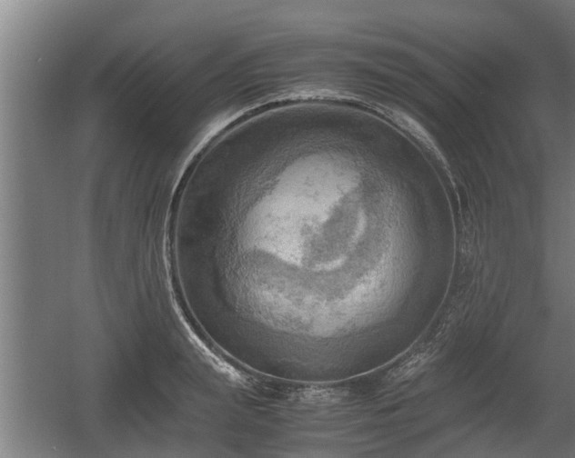 X0000060570847200511071017