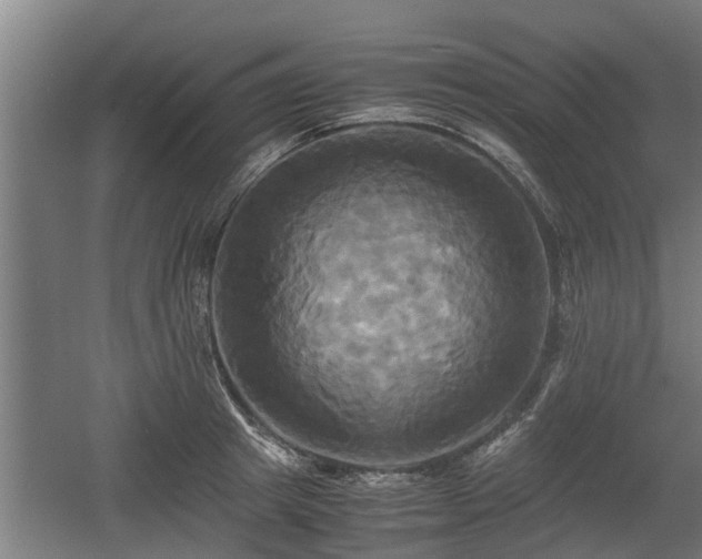 X0000060570849200511071017