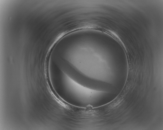 X0000060570851200511071017