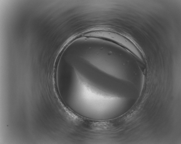 X0000060570853200511071017