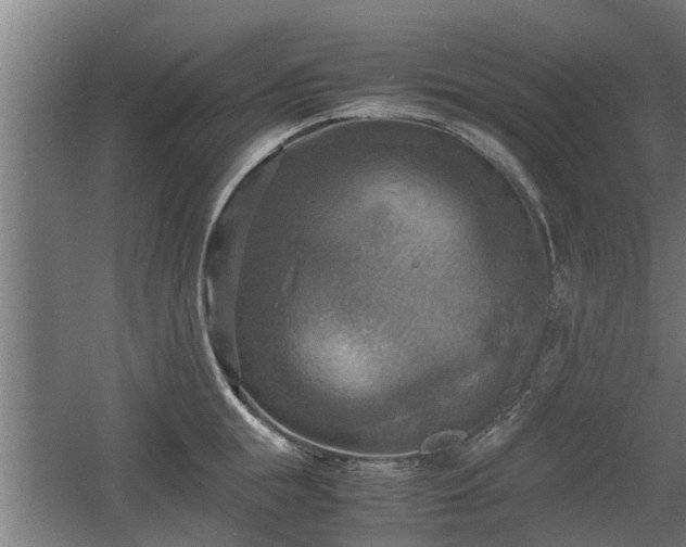 X0000060570855200511071017