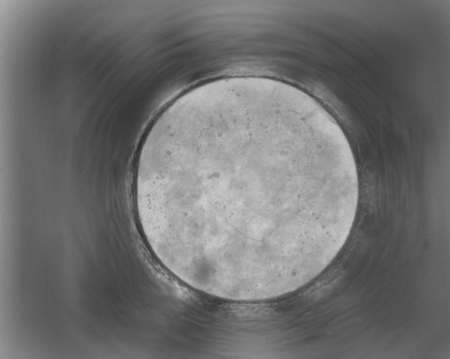 X0000060570856200511071017