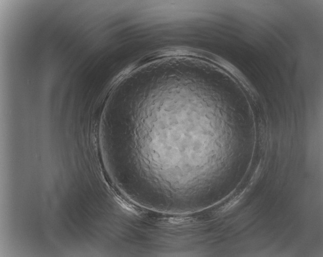 X0000060570857200511071017