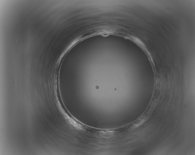 X0000060570859200511071017