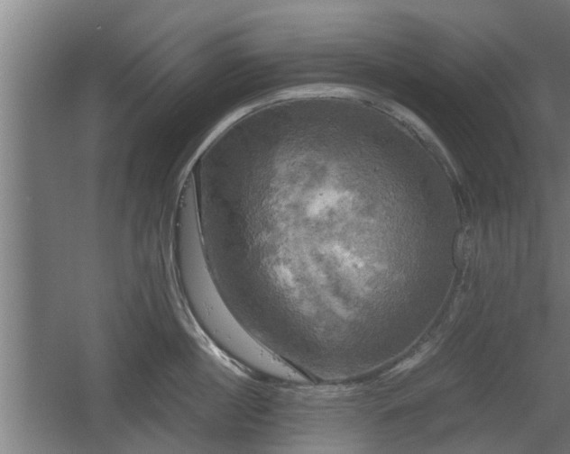 X0000060570860200511071017