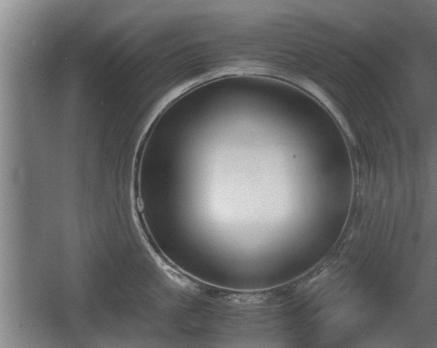 X0000060570861200511071017