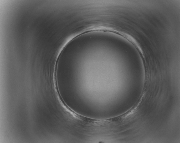 X0000060570863200511071017