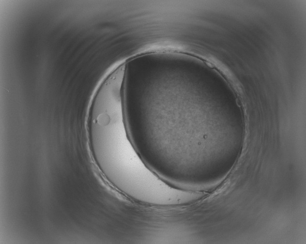 X0000060570864200511071017