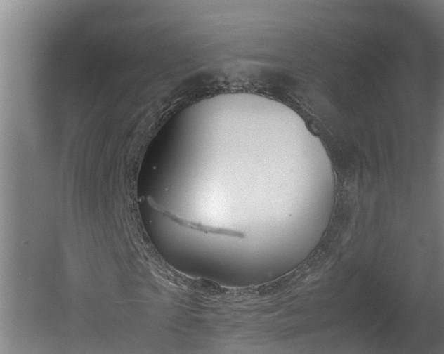 X0000060570865200511071016