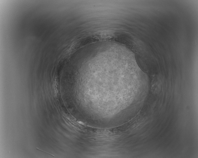 X0000060570866200511071016