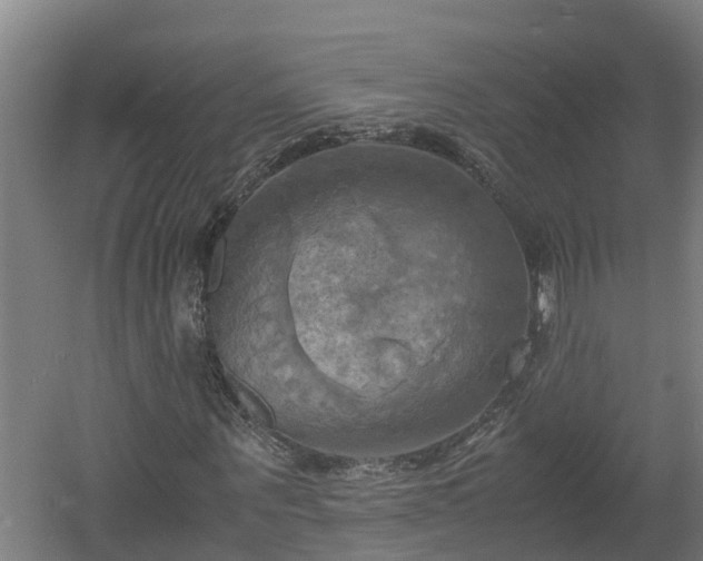 X0000060570867200511071016