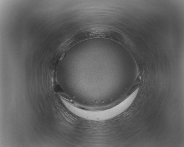 X0000060570868200511071016