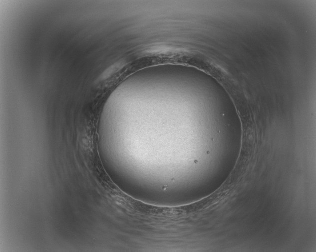 X0000060570869200511071016