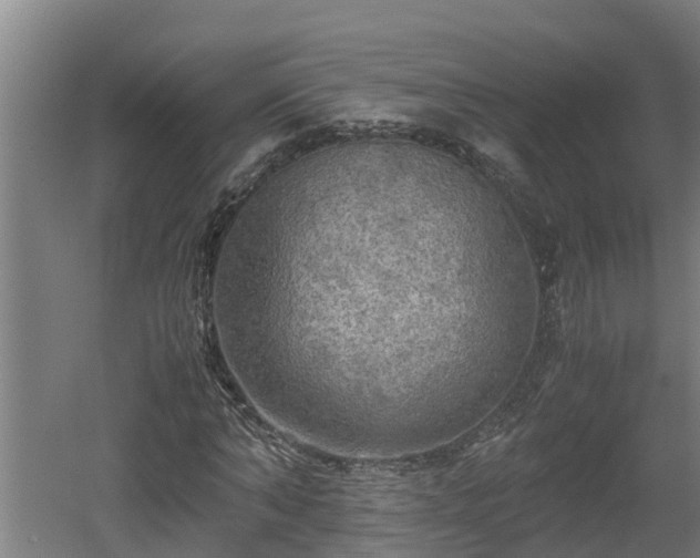 X0000060570870200511071016