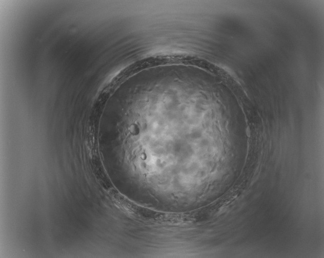 X0000060570871200511071016