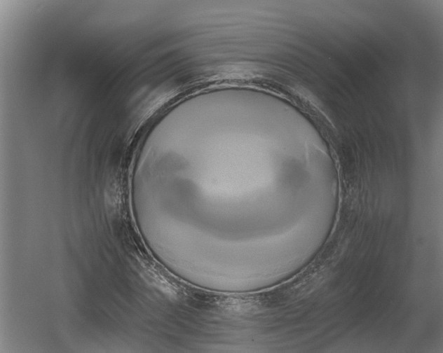 X0000060570874200511071016