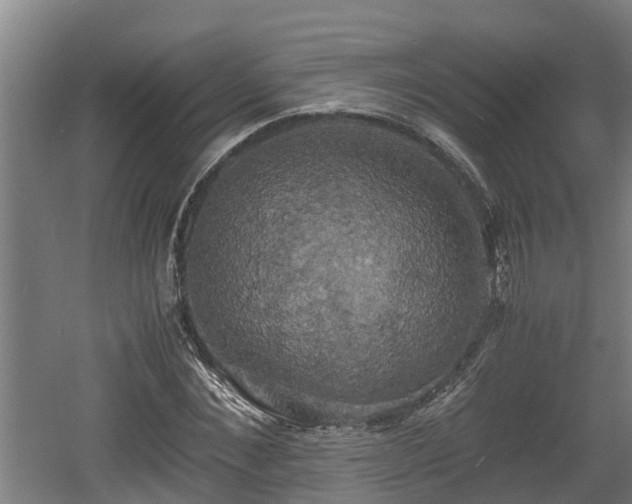 X0000060570876200511071016