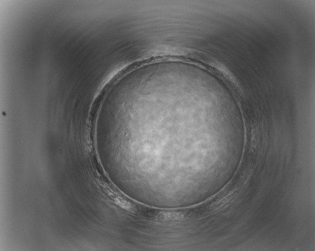 X0000060570878200511071016