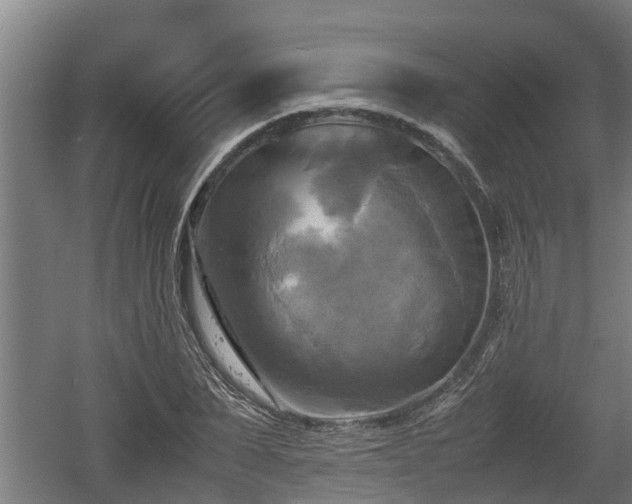 X0000060570879200511071016