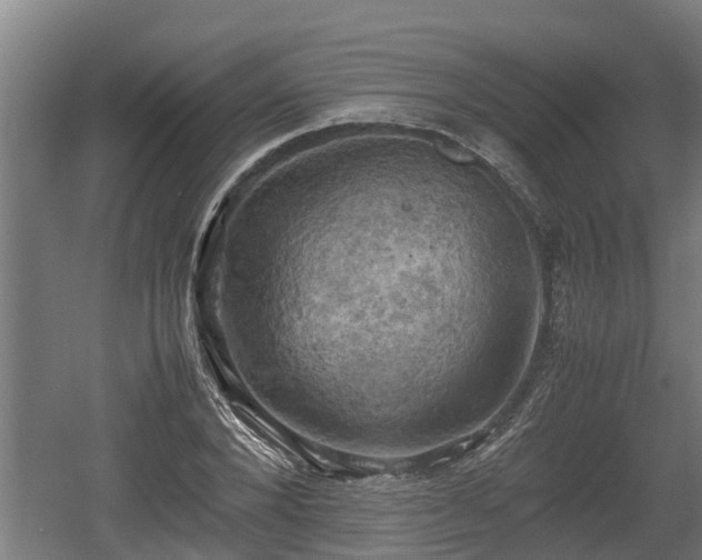 X0000060570880200511071016