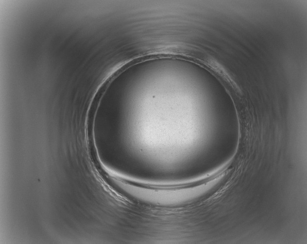 X0000060570884200511071016