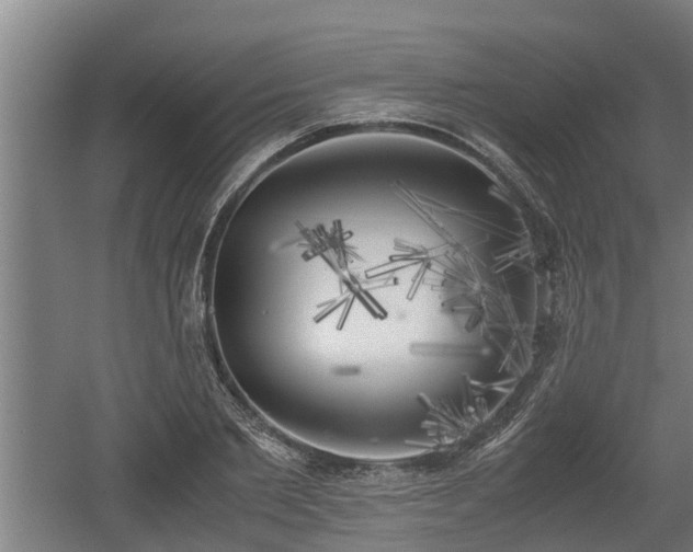 X0000060570885200511071016