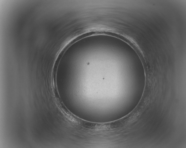 X0000060570887200511071016