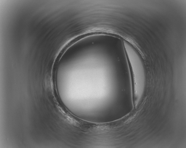 X0000060570888200511071016