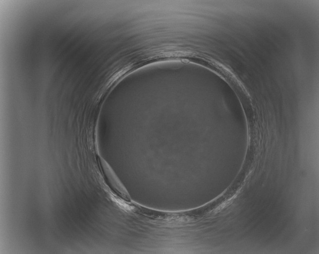 X0000060570889200511071016