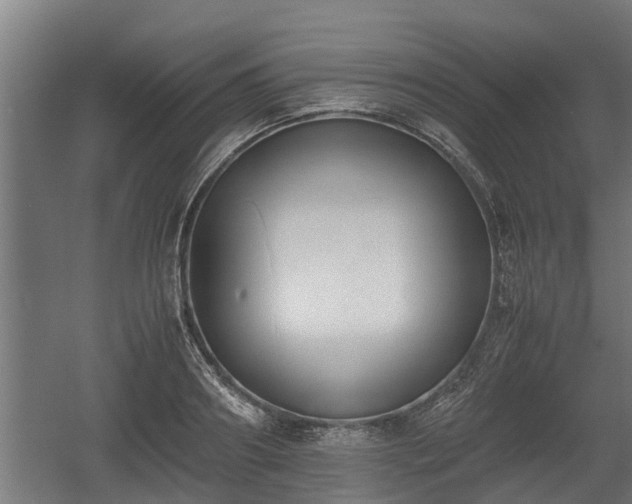 X0000060570890200511071016