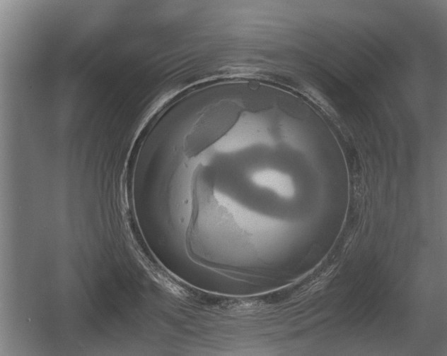 X0000060570891200511071016