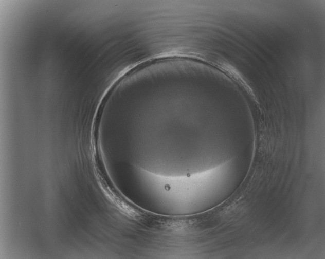 X0000060570892200511071016