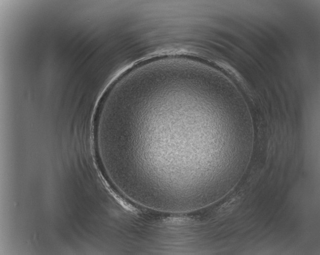 X0000060570894200511071016