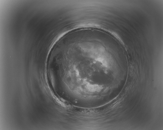 X0000060570895200511071016