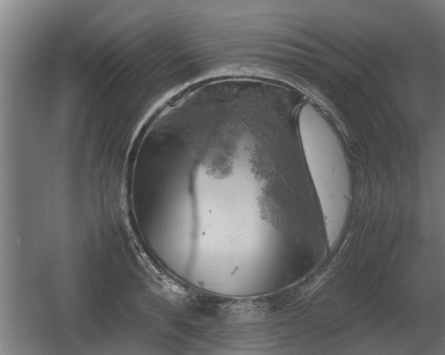 X0000060570896200511071016