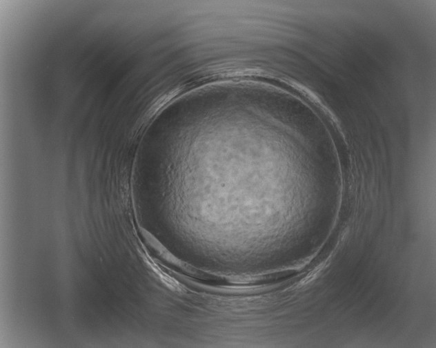 X0000060570897200511071016