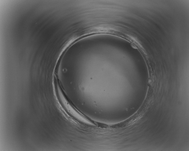 X0000060570899200511071016