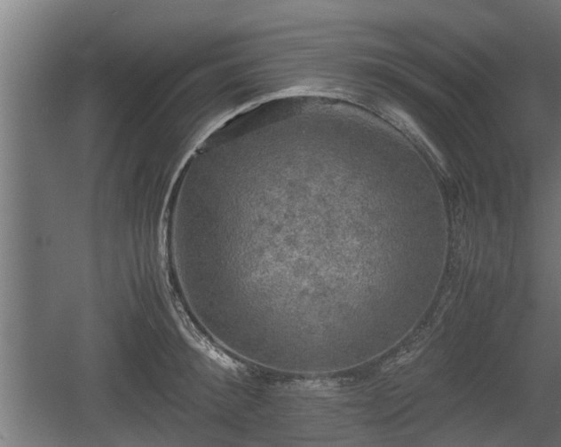 X0000060570900200511071016