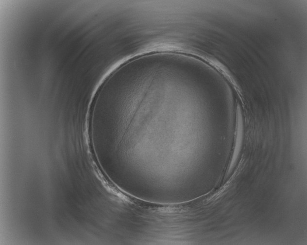 X0000060570904200511071016