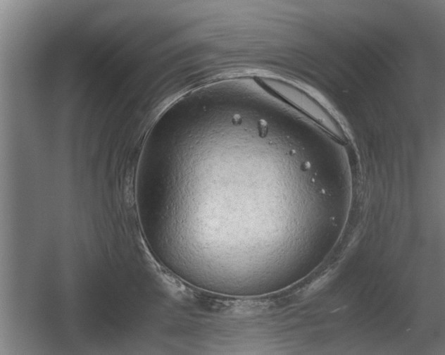 X0000060570905200511071016