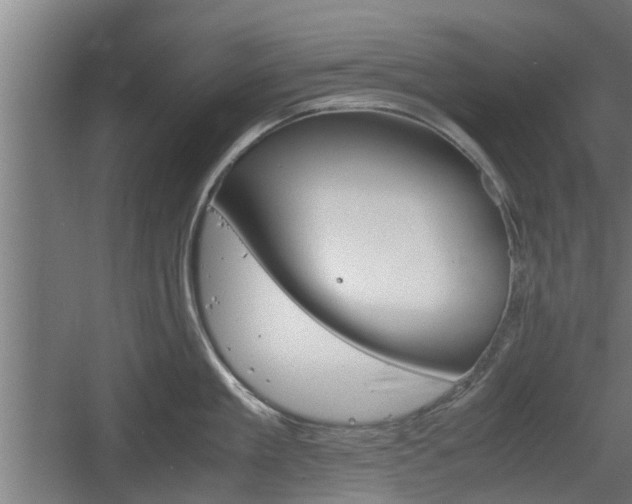 X0000060570909200511071016